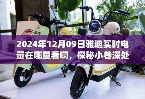 探秘雅迪实时电量查看方式,小巷深处的电量指南与奇妙旅程开启