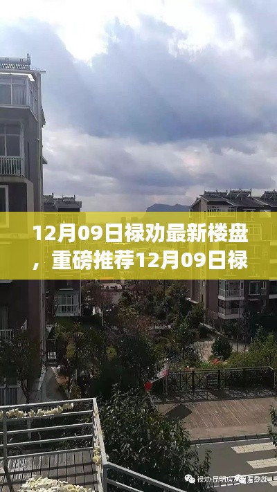 12月09日禄劝全新楼盘亮点深度解析与推荐