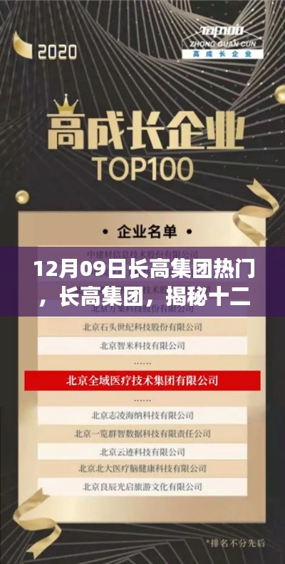 揭秘长高集团十二月九日背后的故事，探寻企业成长新高度！