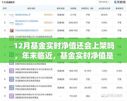 年末基金实时净值预测，十二月上架的可能性与深度解析