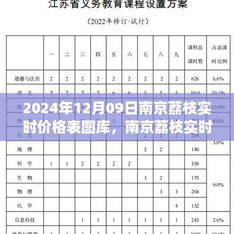 南京荔枝实时价格表图库，市场趋势观察与深度思考（2024年12月09日）