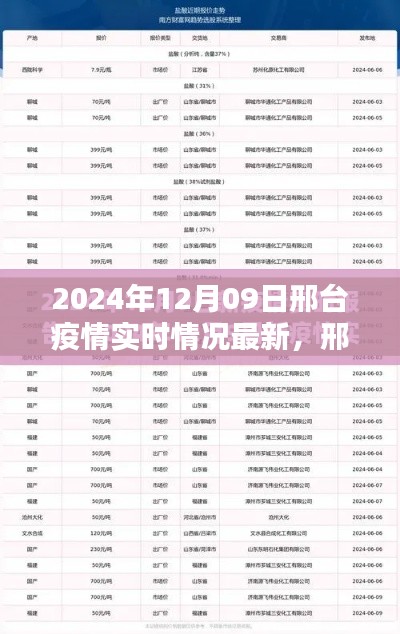 邢台疫情实时动态,智能监控预警系统引领抗疫新时代(最新更新至2024年12月09日)