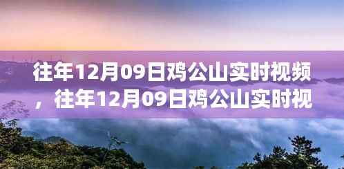 往年12月09日鸡公山实时视频观察,自然生态与个人观点深度解读