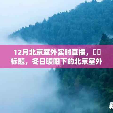 冬日暖阳下的北京室外直播,探寻内心平静的宁静之旅