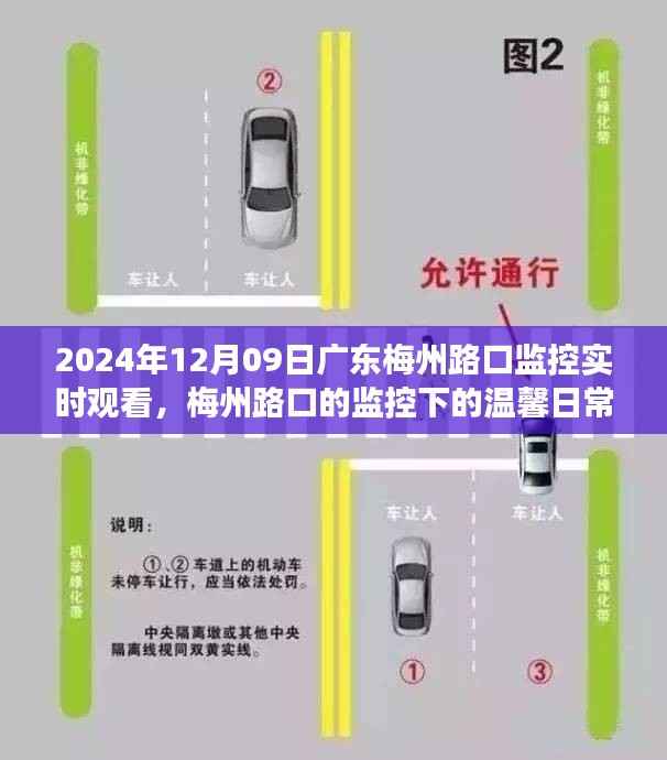 梅州路口监控下的温馨日常，陪伴之旅的不期而遇