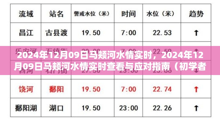 马颊河水情实时查看与应对指南，初学者与进阶用户通用（2024年12月09日版）