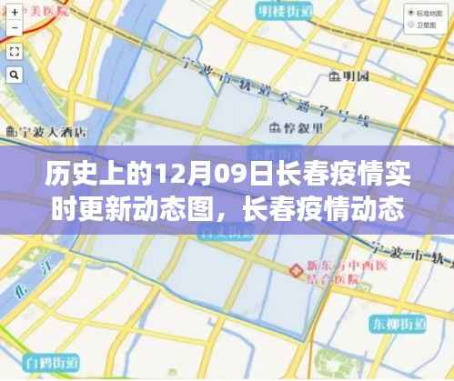 历史上的长春疫情动态图，深度解读与反思