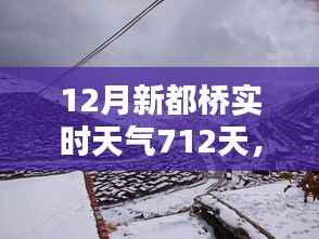 新都桥下的冬日奇遇,实时天气与巷弄小店的探索之旅