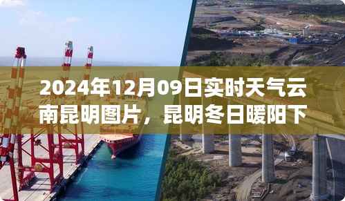 昆明冬日暖阳下的温情故事与实时天气图片 2024年12月09日