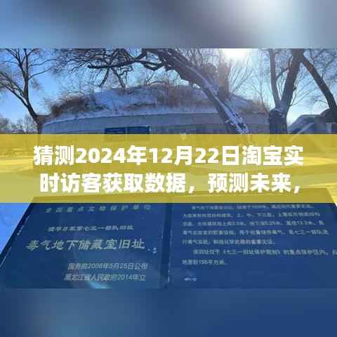 2024年淘宝实时访客数据洞察，预测未来趋势与深度解析