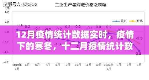 深度剖析,疫情寒冬下的十二月疫情统计数据实时统计与分析
