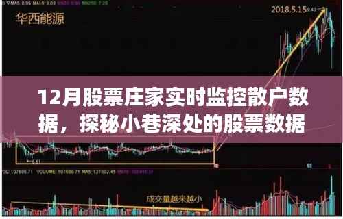 揭秘庄家实时监控散户数据的神秘面纱，股票数据洞察圣地深度探索（12月专稿）