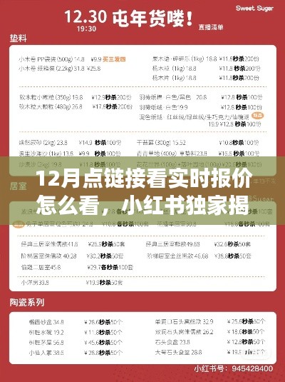 小红书独家揭秘，12月实时报价链接攻略，轻松掌握最新优惠信息，一键链接看报价！