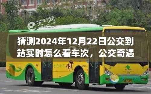 未来公交奇遇，实时车次查询与暖心约定的约定预测（2024年公交到站指南）