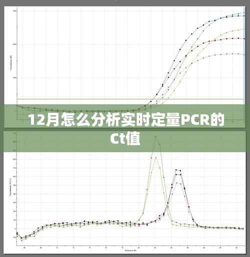 实时定量PCR的Ct值分析指南,解读十二月数据