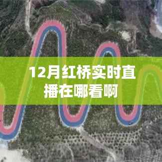 红桥直播观看指南,实时直播观看渠道汇总