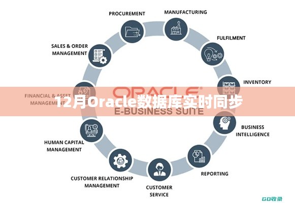 Oracle数据库实时同步解决方案(12月版)