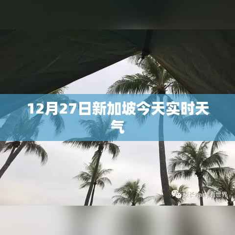 新加坡今日实时天气概况
