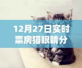 猫眼实时票房数据更新，猫眼睛分泌物话题热议