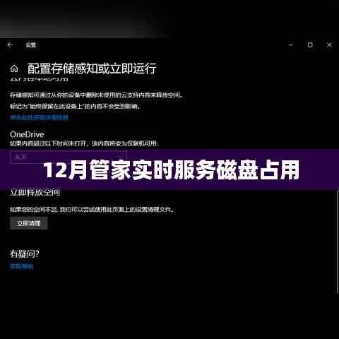 12月管家实时服务磁盘高效管理策略