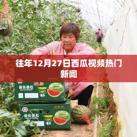 物离乡贵 第3页