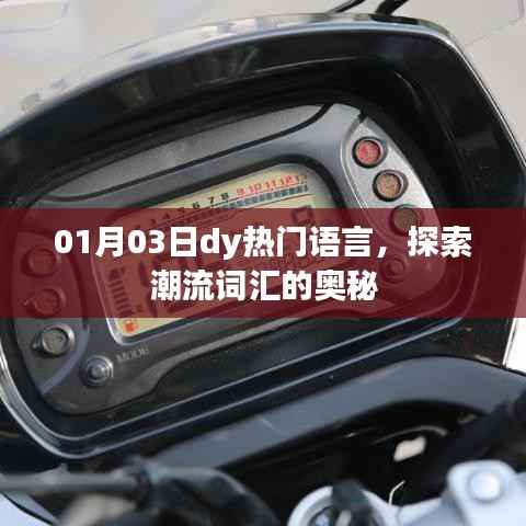 探索热门语言奥秘，潮流词汇一网打尽