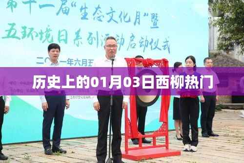 历史上的西柳一月三日，热门事件回顾