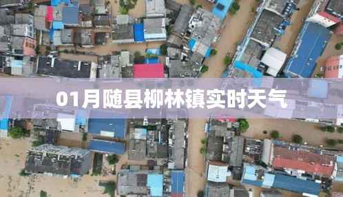 随县柳林镇实时天气更新报告
