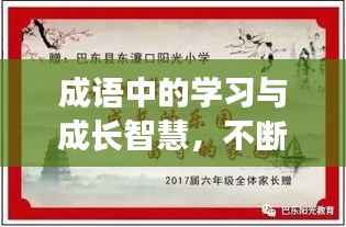 成语中的学习与成长智慧,不断进步,塑造卓越人生