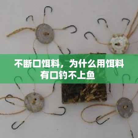 不断口饵料,为什么用饵料有口钓不上鱼