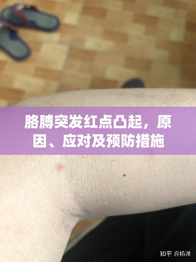 胳膊突发红点凸起，原因、应对及预防措施