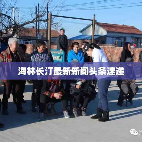 海林长汀最新新闻头条速递