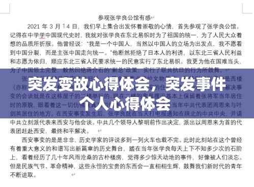 突发变故心得体会,突发事件个人心得体会