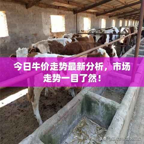 今日牛价走势最新分析,市场走势一目了然!