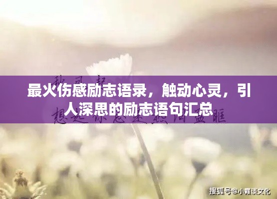 最火伤感励志语录,触动心灵,引人深思的励志语句汇总