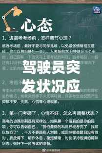 驾驶员突发状况应对与预防措施指南