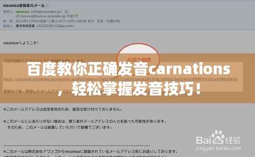 百度教你正确发音carnations，轻松掌握发音技巧！