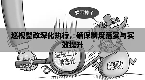 巡视整改深化执行，确保制度落实与实效提升