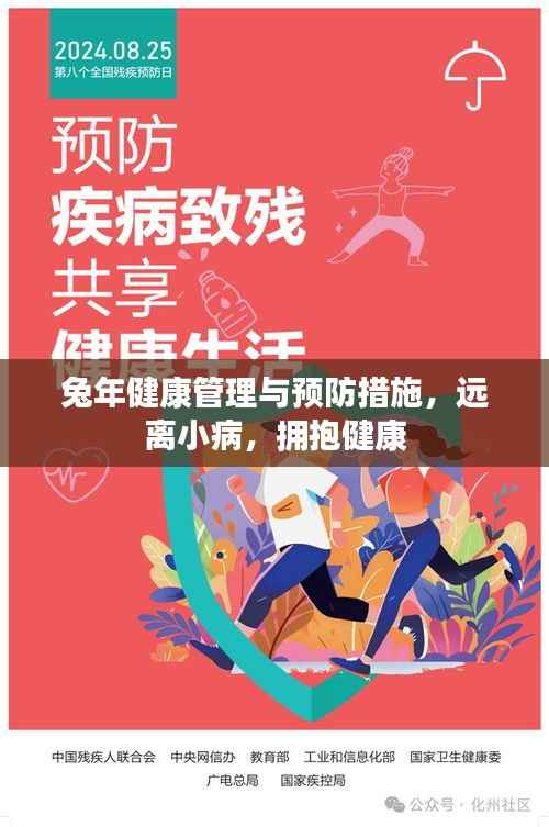 兔年健康管理与预防措施,远离小病,拥抱健康