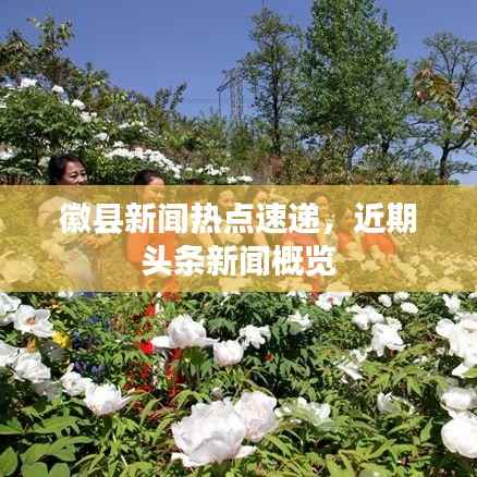 徽县新闻热点速递,近期头条新闻概览