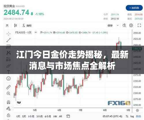 江门今日金价走势揭秘，最新消息与市场焦点全解析