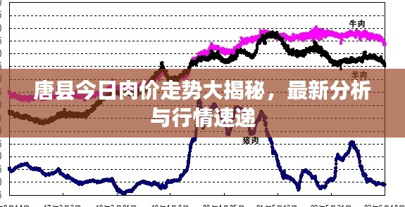 唐县今日肉价走势大揭秘，最新分析与行情速递