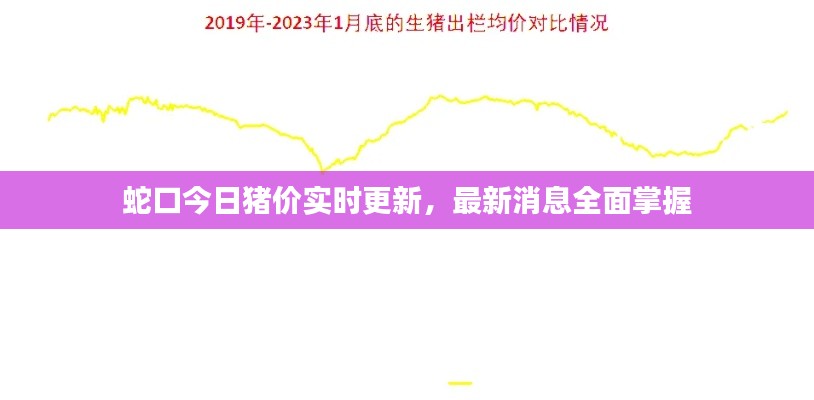 蛇口今日猪价实时更新,最新消息全面掌握
