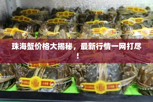 珠海蟹价格大揭秘,最新行情一网打尽!