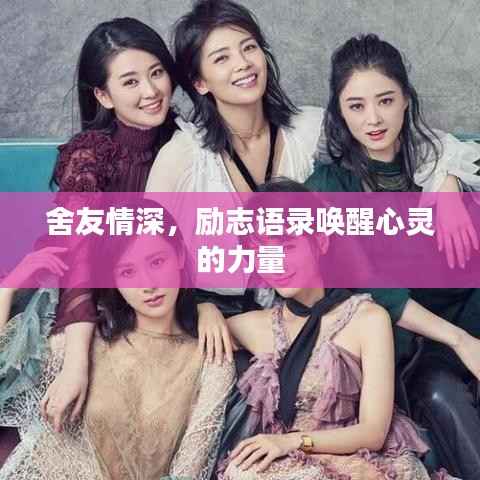 舍友情深，励志语录唤醒心灵的力量
