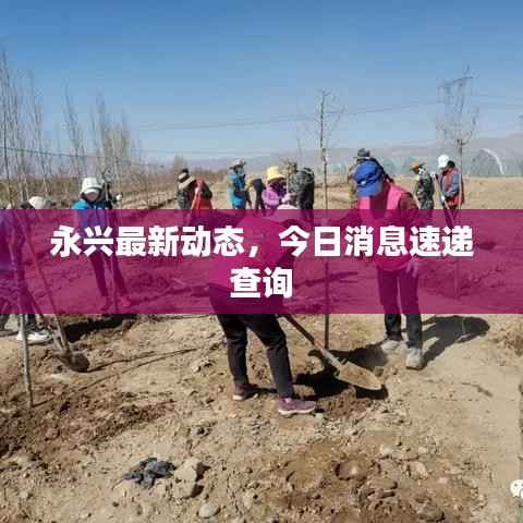 夫妻本是同 第2页