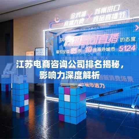 江苏电商咨询公司排名揭秘，影响力深度解析
