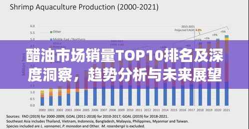醋油市场销量TOP10排名及深度洞察,趋势分析与未来展望