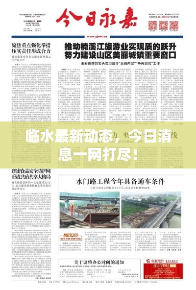 临水最新动态,今日消息一网打尽!