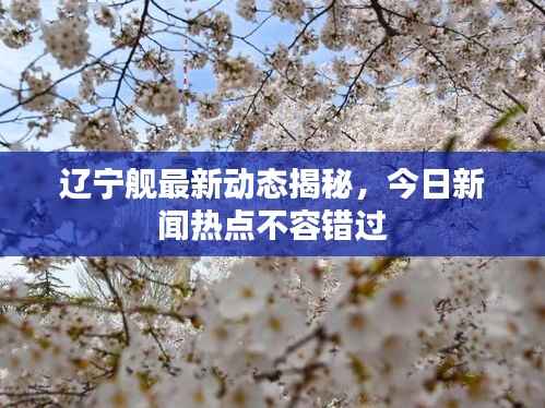 辽宁舰最新动态揭秘，今日新闻热点不容错过